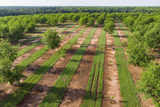 FarmersGov's tweet photo. Want to know what soils make up your farm? Try out the Web Soil Survey! #SoilSurvey  https://t.co/7fK6lkLwKA https://t.co/hXDOlUGqok