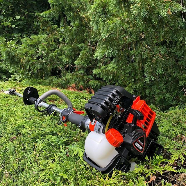 gregsmowing's tweet photo. Hedge cutting season in full swing now (if you pardon the pun🤪) ✂️🌳🌲🌿🍃🌾 #progardenersuk #hayterarmy #gregsmowing #echo #echotools #hedgecutting #conifer #leylandii #uk #england #fetchambornandbred https://t.co/VUt7me86lU https://t.co/fnbt0Fxjcm