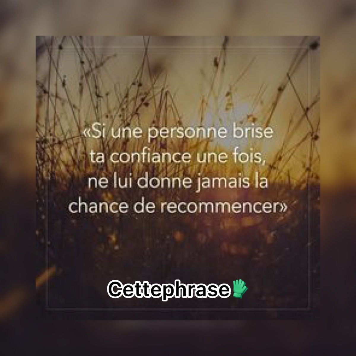 cettephrase's tweet photo. Cette phrase ❤️🥰 https://t.co/pIJy2PGidy