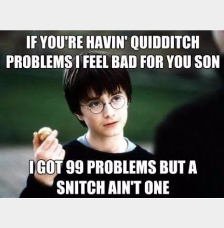 LoveBooksLoveAu's tweet photo. This made me giggle #HarryPotter #QuidditchPRoblems #Snitch #JustCuz https://t.co/N2CnUnzp4n