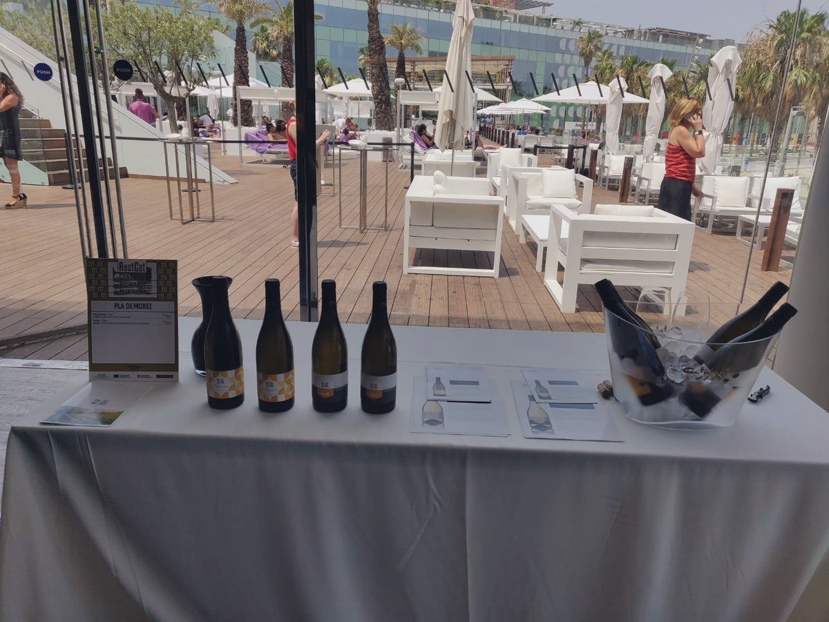plademorei's tweet photo. Avui 1 de juliol canviem les nostres vistes de muntanya i vinya pel mar de Barcelona pel #CongresRestCat de la @DOCatalunya. Moltíssimes gràcies per comptar amb nosaltres i per oferir un espai comú on aprendre i conèixer del sector! Fins la propera! https://t.co/agjzYv1RQt