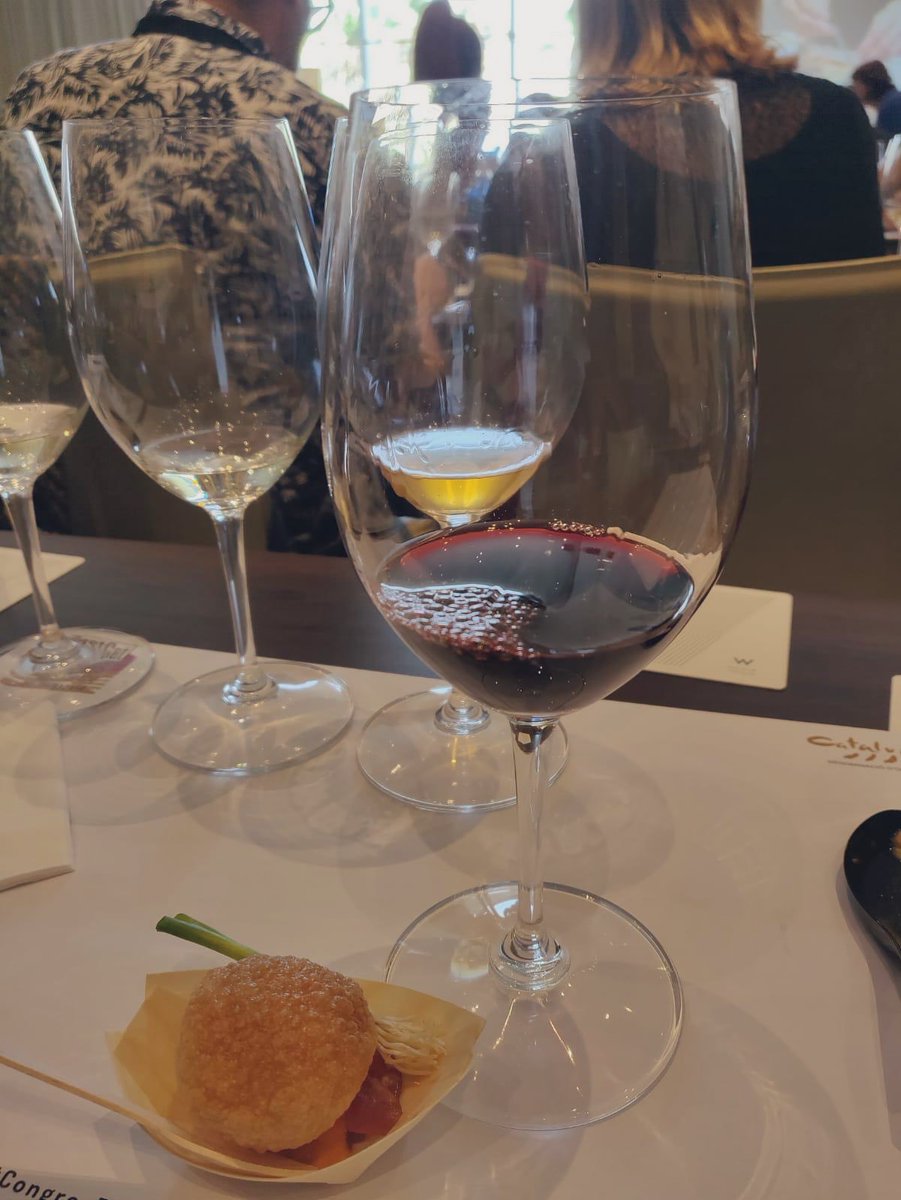 plademorei's tweet photo. Avui 1 de juliol canviem les nostres vistes de muntanya i vinya pel mar de Barcelona pel #CongresRestCat de la @DOCatalunya. Moltíssimes gràcies per comptar amb nosaltres i per oferir un espai comú on aprendre i conèixer del sector! Fins la propera! https://t.co/agjzYv1RQt