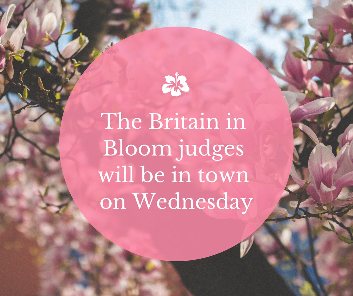 The judges for #BritaininBloom will be out in #Oswestry on Wednesday 3rd, so this is the ideal time to show them how much pride we take in our town!

#townpride #community #markettowns #shropshire #Chambers #chamberofcommerce