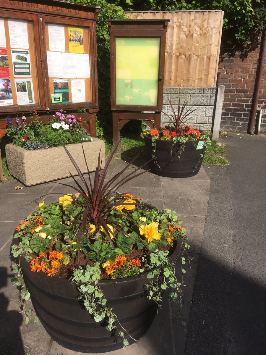 crostoninbloom's tweet photo. New @amberolUK planters looking fab on the sunshine! @RHSBloom @CrostonTogether https://t.co/xzgr8qFzy1