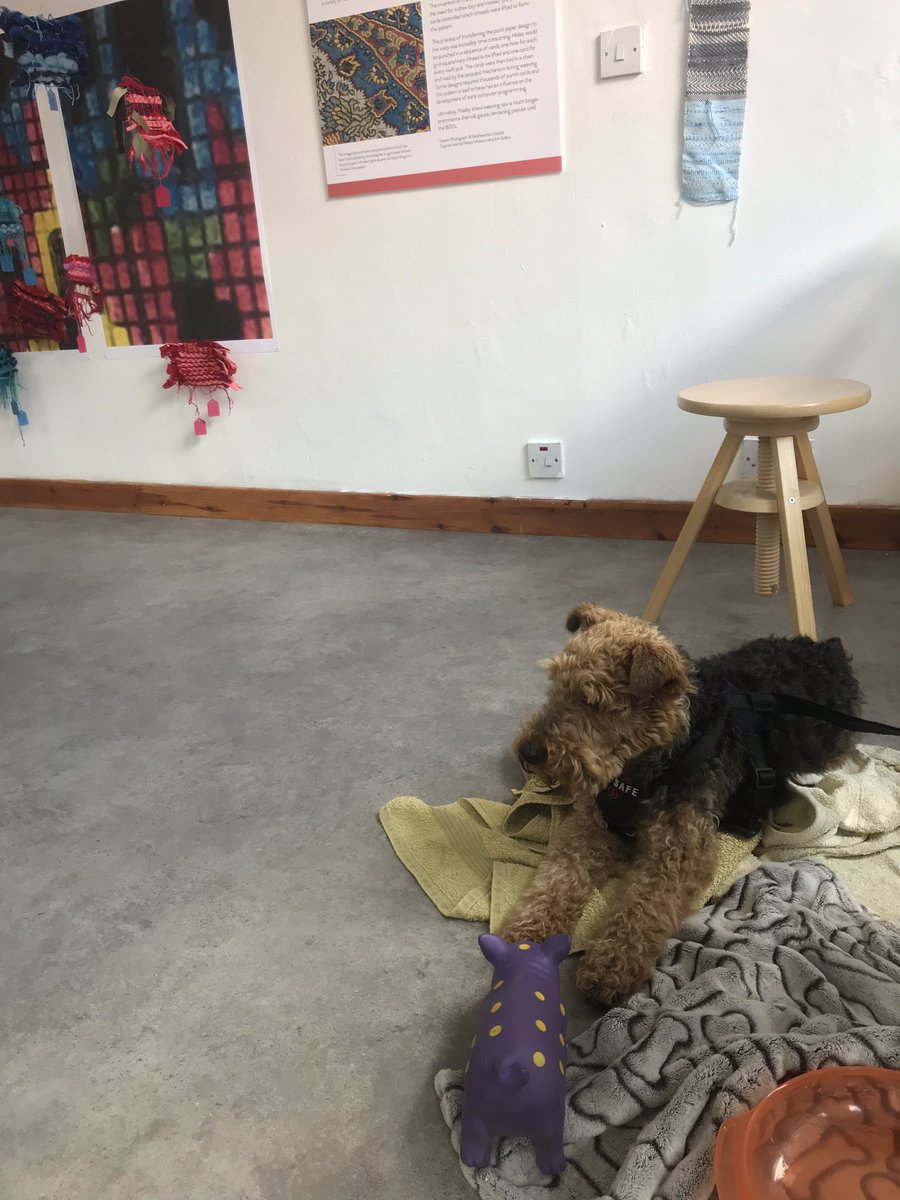Fab workshop group with such enthusiasm for natural fibres and having a go at frame loom weaving with special guest Rusty the Welsh Terrier! More workshops tomorrow with @theurbanhistorian.  Exhibition is open @made_in_paisley til Sat 6th of July! #thcars2 #hlfsupported