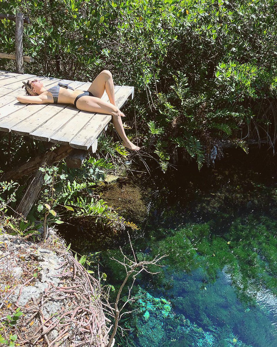 Riviera Maya tweet media