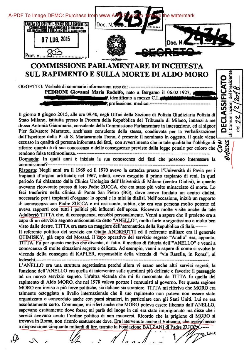 #CasoMoro L'incredibile testimonianza di Giovanni Pedroni sulla struttura segretissima denominata " #ANELLO ", un servizio segreto parallelo e clandestino che si incrocia con alcune delle vicende più oscure..#SEGRETO (2015)