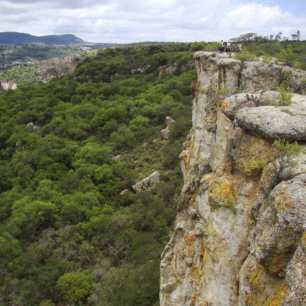 Views from the Canyon 😍