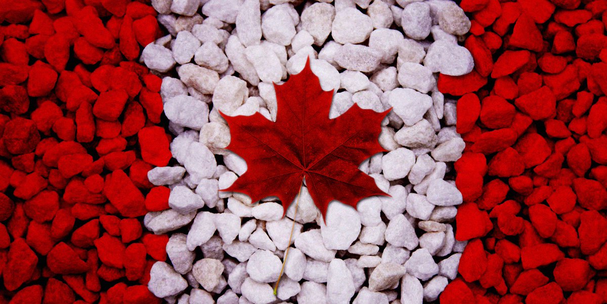 free_them's tweet photo. Are You Coming? + O Happy Birthday Canada! - https://t.co/S652YK13ig https://t.co/uugsXDVNWE