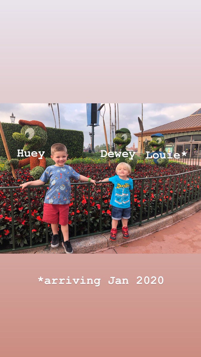 EricMitchell_'s tweet photo. Update: these Disney trips keep getting more expensive. @Morg_Mitch https://t.co/0M5ebUEUtF