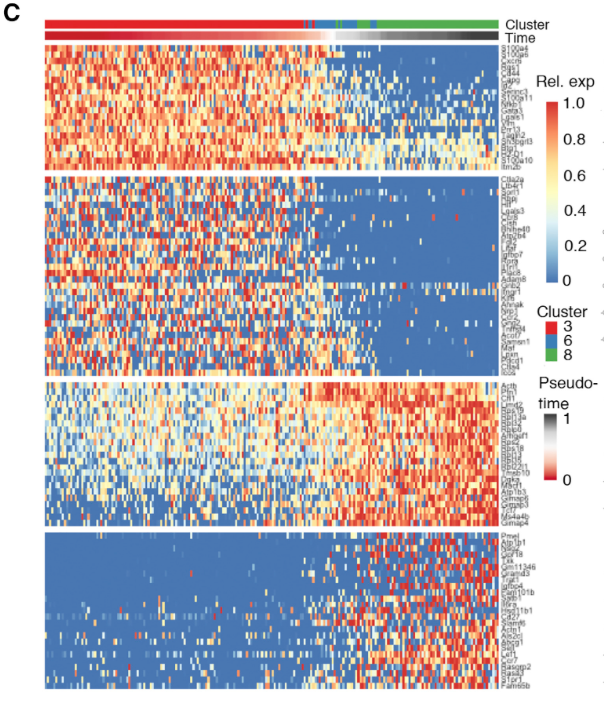 free multifractal volatilitytheory forecasting and pricing