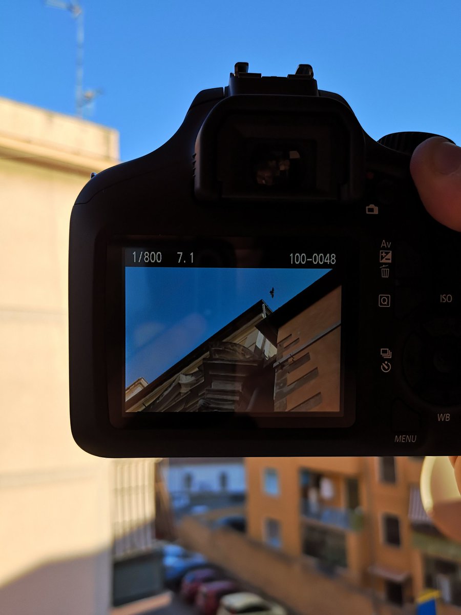 Sperimentiamo coi primi scatti grazie alla nuova <a href="/CanonItaliaSpA/">Canon Italia</a> EOS 4000D. 
#fotografia #content 📸