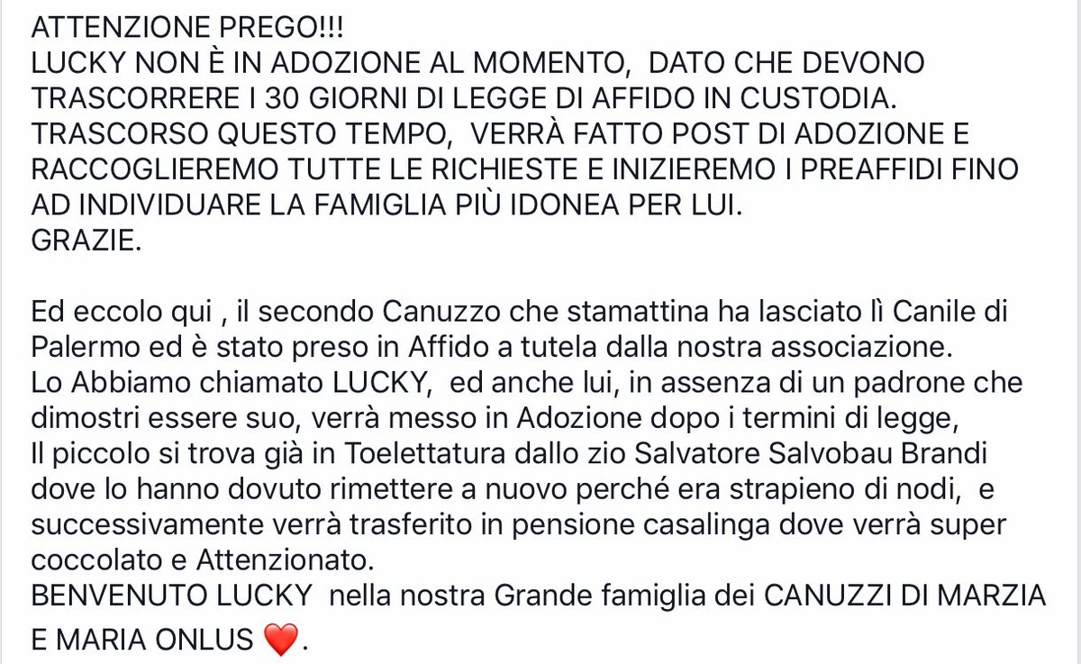 CanuzziE's tweet photo. Benvenuto anche a te Lucky ❤️🐾 https://t.co/DxDLLUpnh9