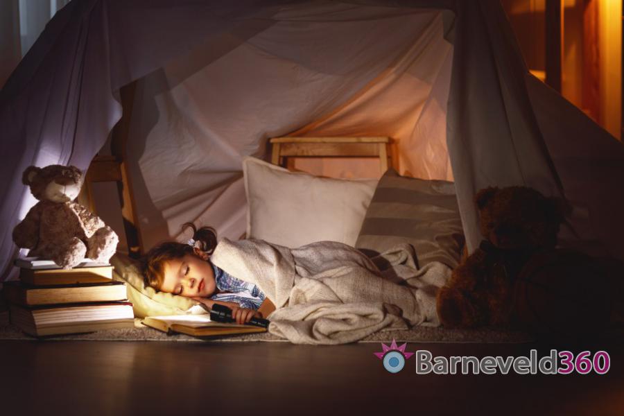 Barneveld360's tweet photo. Logeren in de bieb https://t.co/QXkGBh6Jyo Barneveld360 https://t.co/Co368AKFI3
