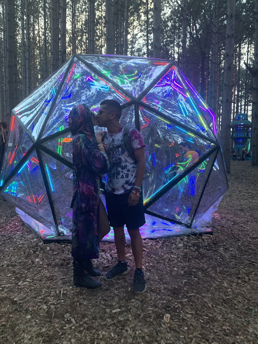 Spacenugg's tweet image. When I tell you I fell even more in love with the forest. 💕