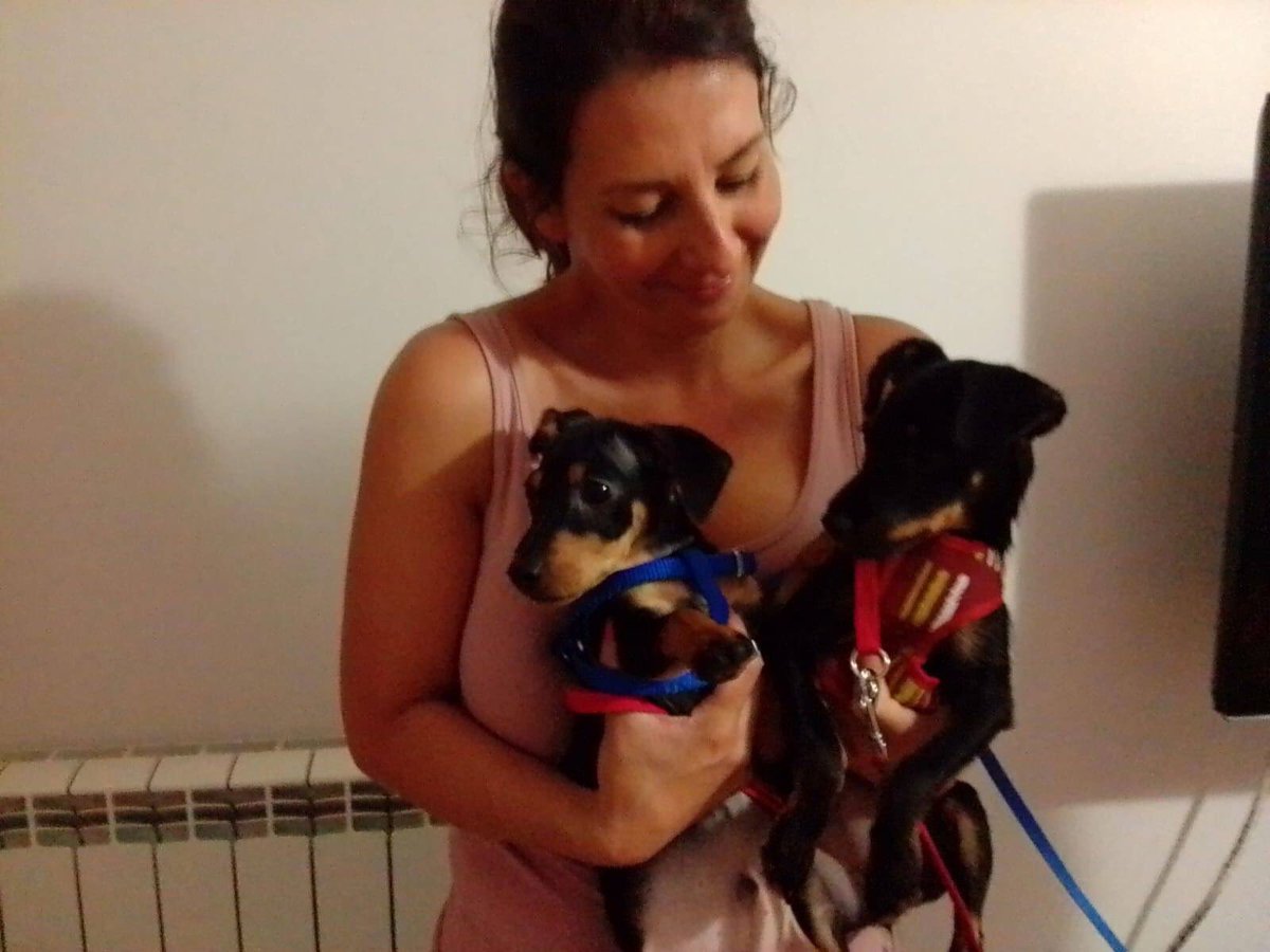 CanuzziE's tweet photo. E poi anche VIOLET ADOTTATAAAAAA🎉🎉🎉🎉 https://t.co/q3ZNLo9wXA