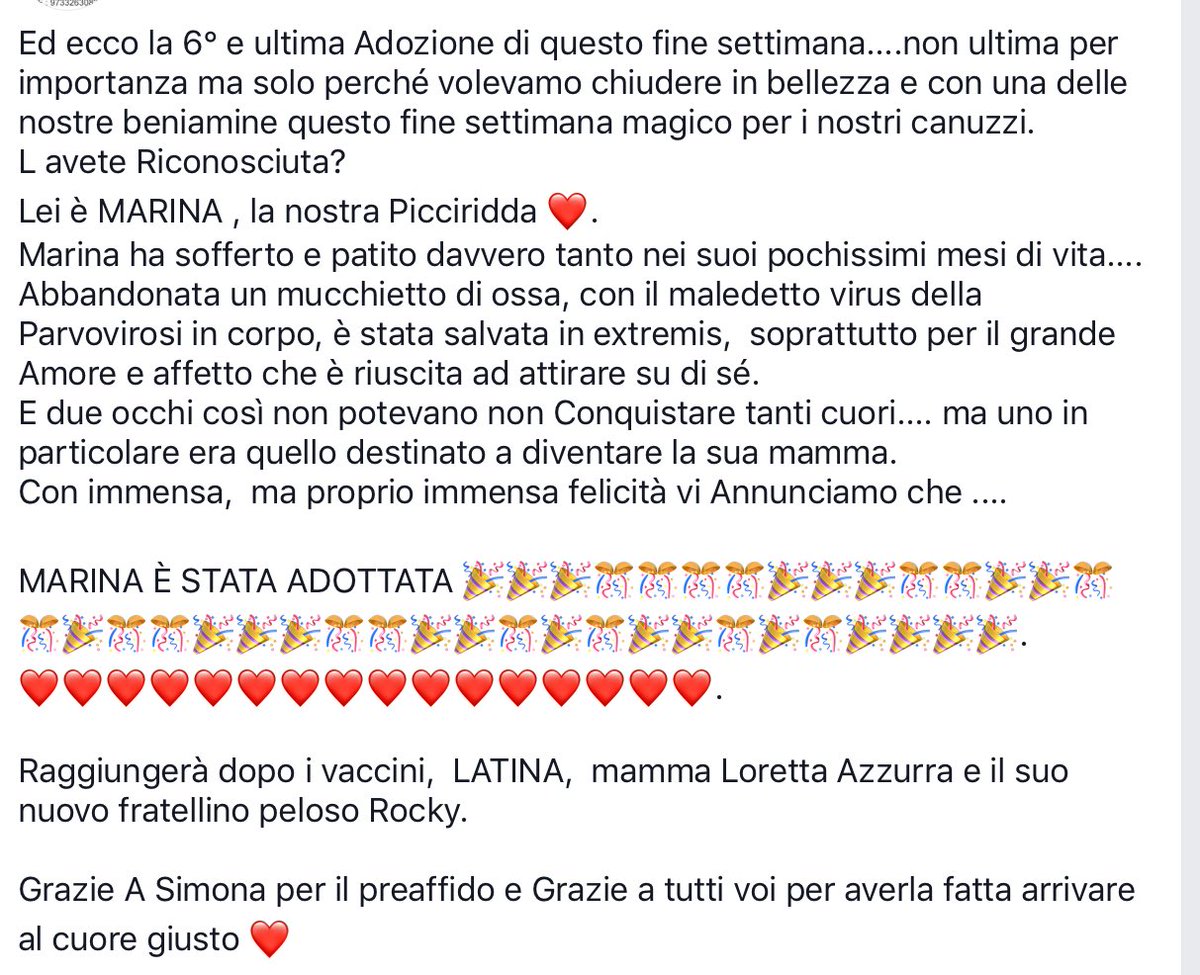 CanuzziE's tweet photo. E dulcis in fundo...MARINA ADOTTATAAAAA🎉🎉🎉🎉 https://t.co/IKEMNrYJ62