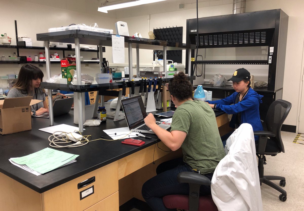 Happy Monday! Can't believe it's already July! Time flies when you are working hard on your iGEM project! #MotivationMonday #2monthstogo #catchusinthelab