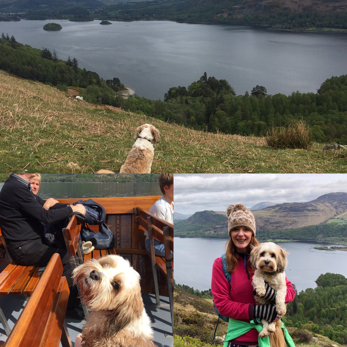 Fernieschoice's tweet photo. Today is Fernie’s (my CEO!) 6th Birthday. To my little super trooper who never complains when we take her hiking (even up steep stuff). I love you so much I think I could burst. Even if you are the most headstrong little girl! Happy Birthday My gorgeous pickle! 
Xx https://t.co/QhR6Nj295o