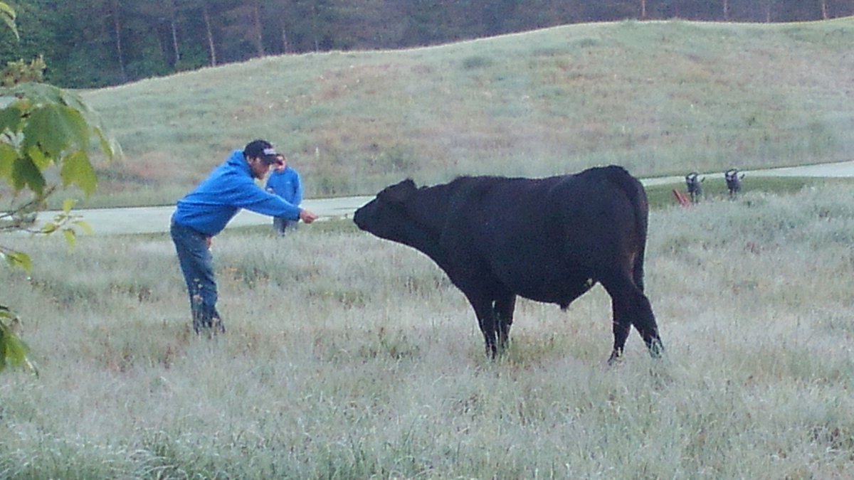 True North Golf Club tweet media