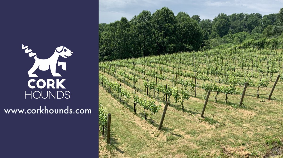 You can now search all 50 states for dog-friendly vineyards and wineries with Cork Hounds! corkhounds.com