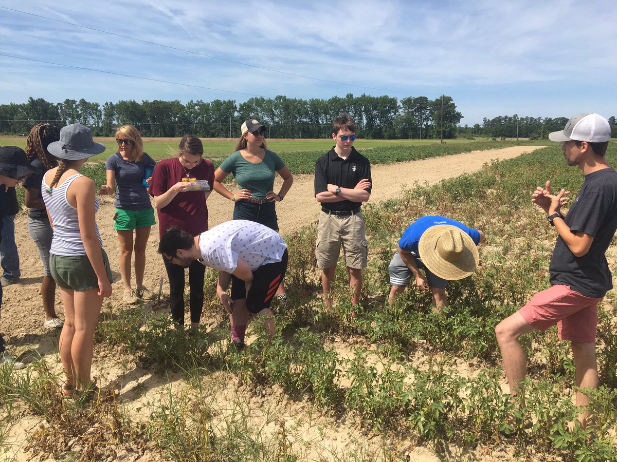 SecuringOurFood's tweet photo. Fellows spent the morning touring the #ESAREC checking out the fascinating #plantpathology, #agronomy & #foodsafety research 🌽🌾🐞 Thank you to all the Eastern Shore faculty & grad students for showcasing all their exciting research 👩🌾👨🔬 #ARECTour #SecuringOurFood https://t.co/reKxwsWMau