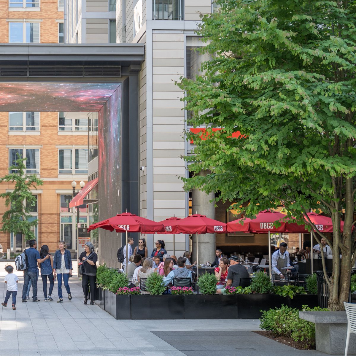 July marks the height of summer and our outdoor terrace is calling your name. Relax and enjoy the sunshine, and don’t forget to take advantage of our #happyhour from 3-6pm daily!
#patiolife #summervibes #summer #happyhour