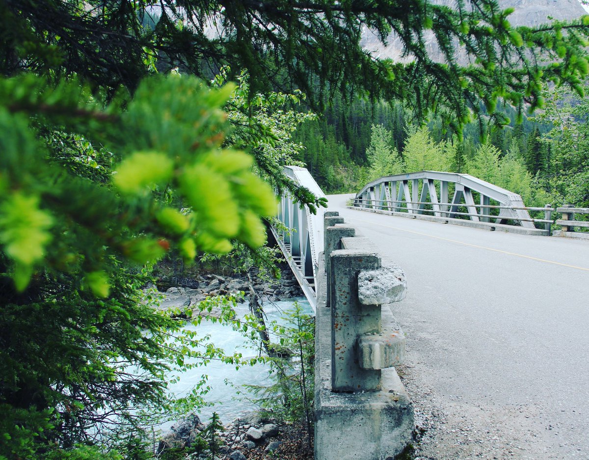 bushcraft4all's tweet photo. Bridge crossing wilderness river. #bridge #river #canada #alberta https://t.co/radD1H8cMw