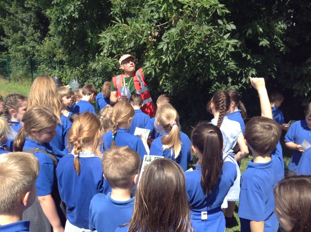 4EW_LPS's tweet photo. A great time learning about what trees need to grow with Tim. We loved playing 'tringo' and identifying the trees around school. @4JB_LPS https://t.co/Tb2eQyASU6