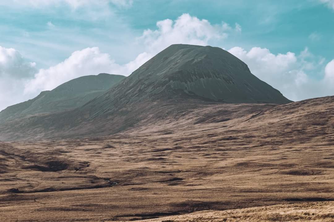 Kay | The Chaotic Scot 💙 tweet media