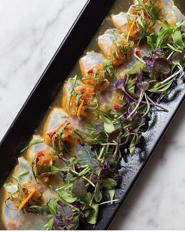 EandONottHill's tweet photo. Starting the week off with our delicious sea bass sashimi😋👌🏻 #eandonotthill https://t.co/8D55MkZ7wC https://t.co/lGC38tgi98