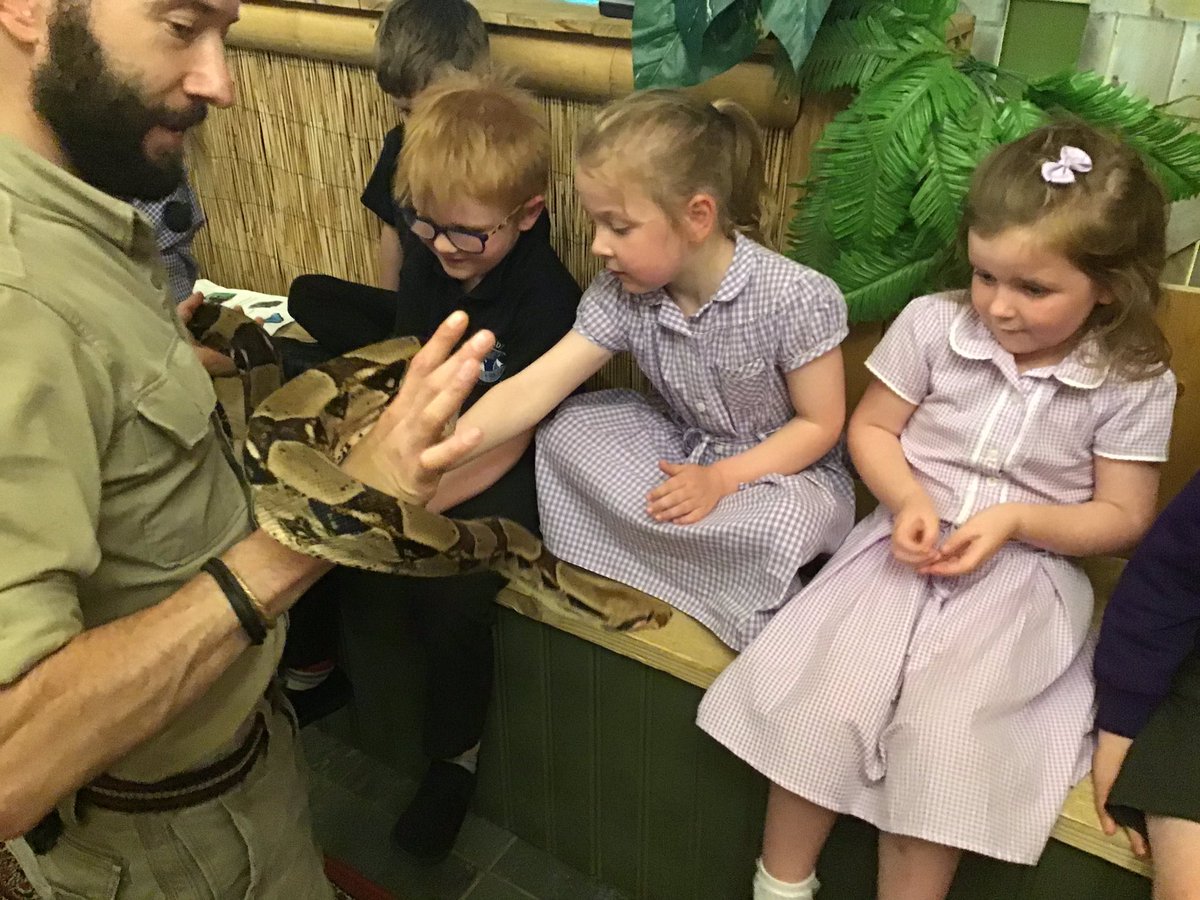 QuayEYFS's tweet image. Bugtopia Part 1 🕷🐞🐛 Another fantastic day in the life of Quay EYFS. #informationoverload #insects #arachnids #reptiles @QuayVP @QuayHead @QSenco