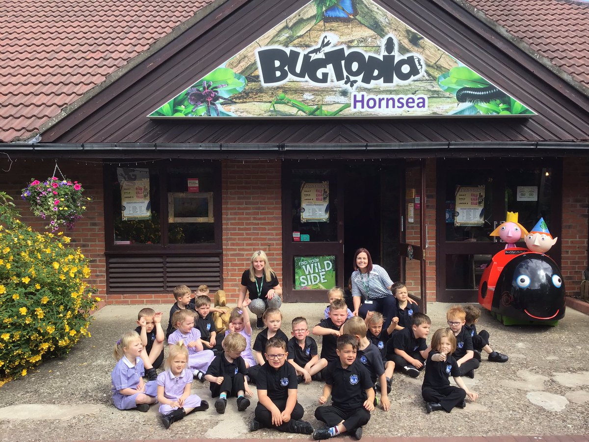 QuayEYFS's tweet image. Bugtopia Part 1 🕷🐞🐛 Another fantastic day in the life of Quay EYFS. #informationoverload #insects #arachnids #reptiles @QuayVP @QuayHead @QSenco