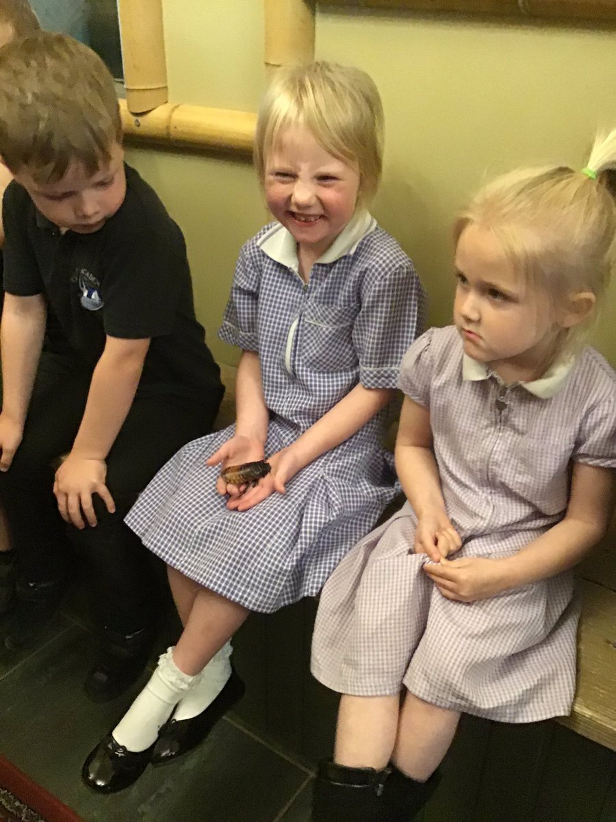 QuayEYFS's tweet image. Bugtopia Part 1 🕷🐞🐛 Another fantastic day in the life of Quay EYFS. #informationoverload #insects #arachnids #reptiles @QuayVP @QuayHead @QSenco