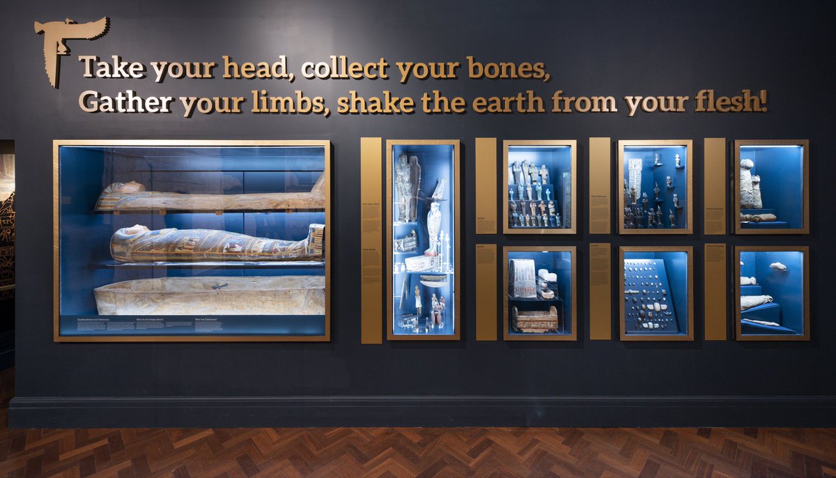 SamElliott1's tweet photo. Giving #BoltonsEgypt a shout out. We tried to play with the idea of what a museum could look like - and every room is a surprise. #MuseumHour https://t.co/vdNy6Z83To
