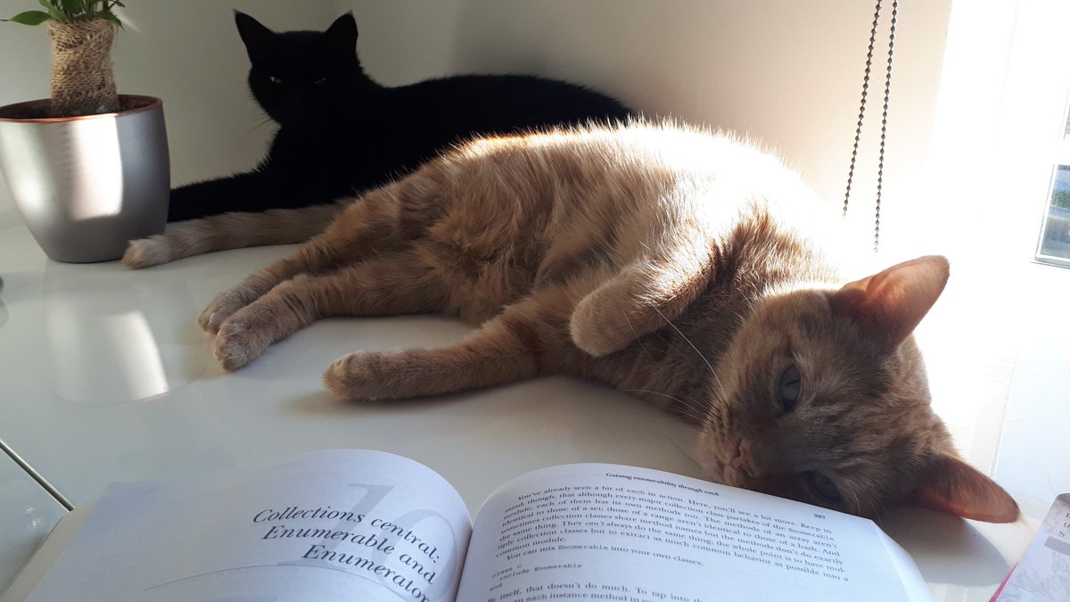 jade_genevieve's tweet image. Day 3..14 Keeping on keeping on #100DaysOfCode with my furry mentors. About halfway to being &apos;well-grounded&apos;. Today is all about the enum. #100DaysOfRuby #WomenWhoCode