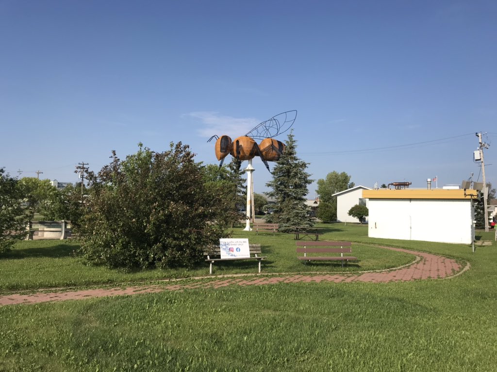 grossphillip's tweet photo. #Falher Ab. Home of the worlds largest #bee. Crops look great in beautiful #PeaceRiver Country. https://t.co/vLXJ4PkQHH