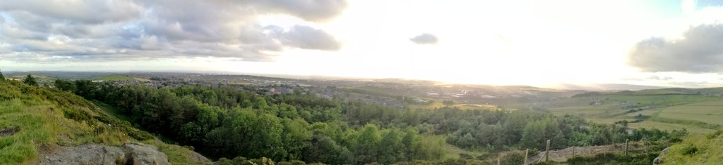 Andy Hall tweet media