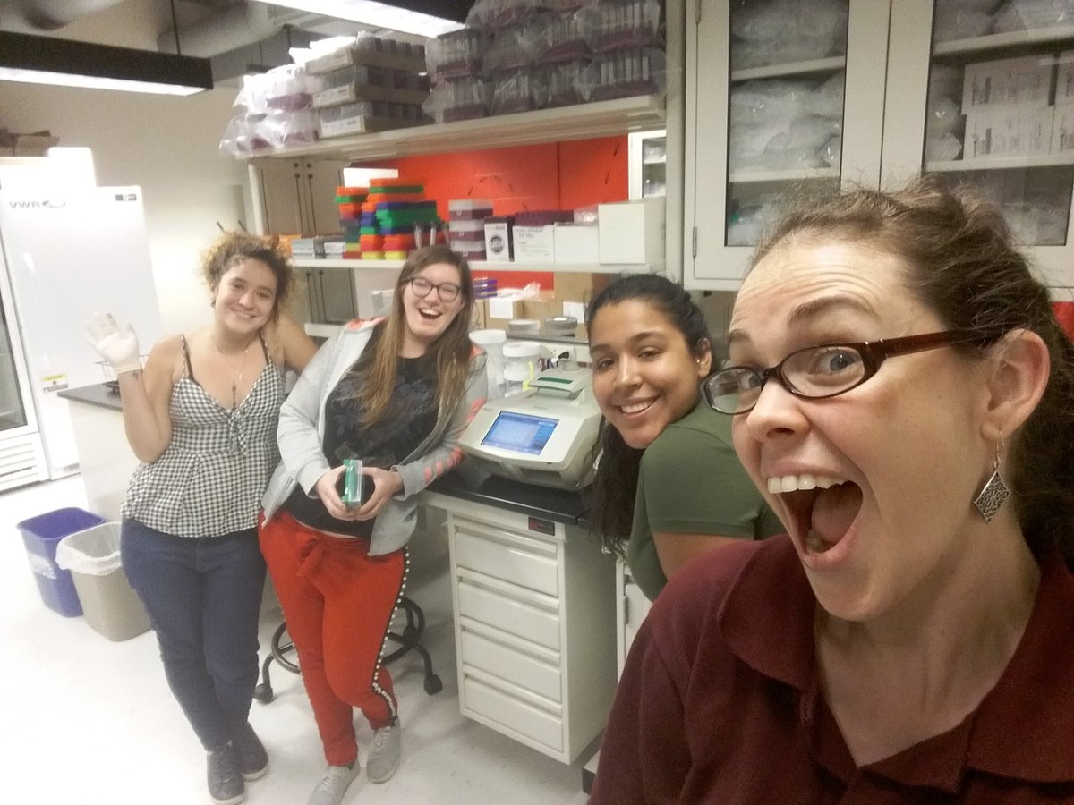 Manu__Ramalho's tweet photo. The first PCR we never forget! Say: PCRRRR! 😂🐜❤📸
#MFF_REU #REUinterns #Cornell #MoreauLab https://t.co/B5G1CAuC1q