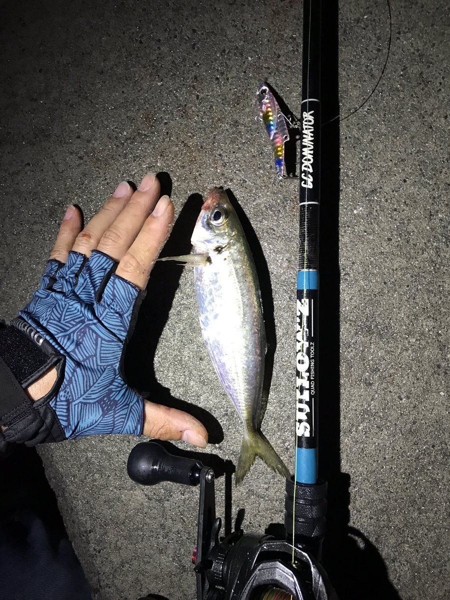 namatamanama's tweet photo. 流行りの○○ングって言葉が好きじゃないんで30lbリーダーで20gのメタルぶん投げて底物からアジまでカバーする夜。
🕺🕺🕺 🙏( ˘ω˘ )
#根魚通信 #カサゴ #アジ #モンジグ #monkeymagic #metaljig
#suilowz #quadfishingtools #GCdominator #gc57m #abugarcia #powershooter https://t.co/ei7UXy6MDv