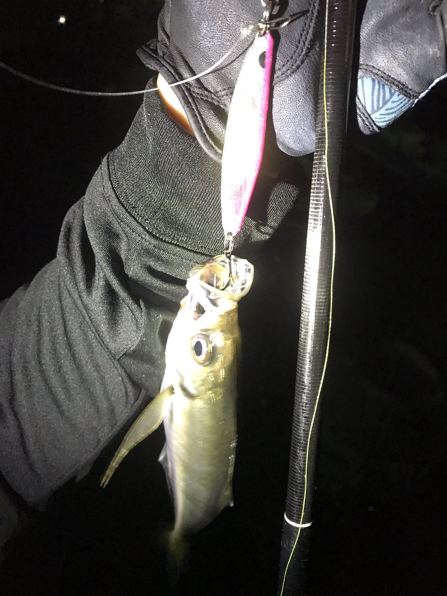 namatamanama's tweet photo. 流行りの○○ングって言葉が好きじゃないんで30lbリーダーで20gのメタルぶん投げて底物からアジまでカバーする夜。
🕺🕺🕺 🙏( ˘ω˘ )
#根魚通信 #カサゴ #アジ #モンジグ #monkeymagic #metaljig
#suilowz #quadfishingtools #GCdominator #gc57m #abugarcia #powershooter https://t.co/ei7UXy6MDv