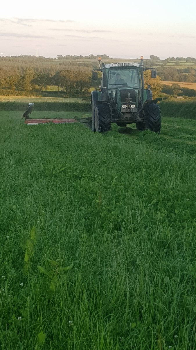kingsfordfarm's tweet photo. We used to do our 1 cut silage this week once upon a time, now we're Organic we are already on 2nd cut and it was grazed at lambing.
This is 4 ewes 2 try and save on bought in sheep concentrates!
#redclovermix
#goodwinter
#goodspring
#notalwayslikeit
@ofgorganic
@AHDB_BeefLamb https://t.co/7u7QNETo3p