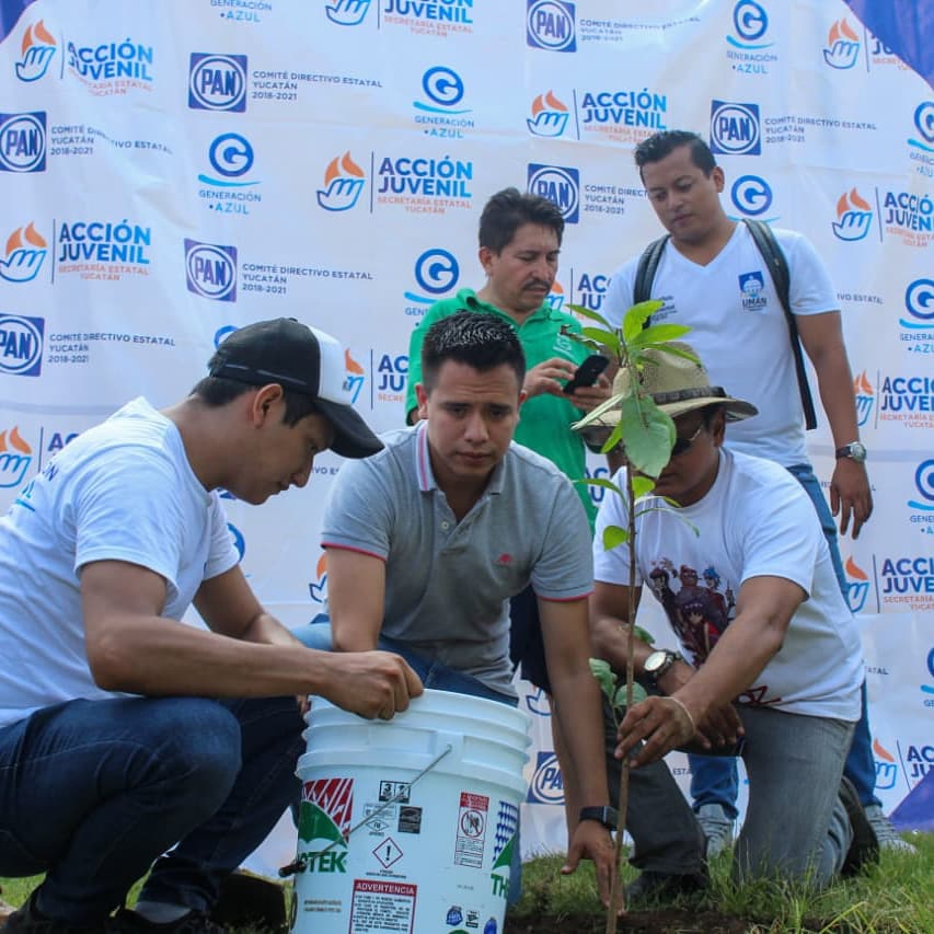 Generación Azul Yucatán tweet media