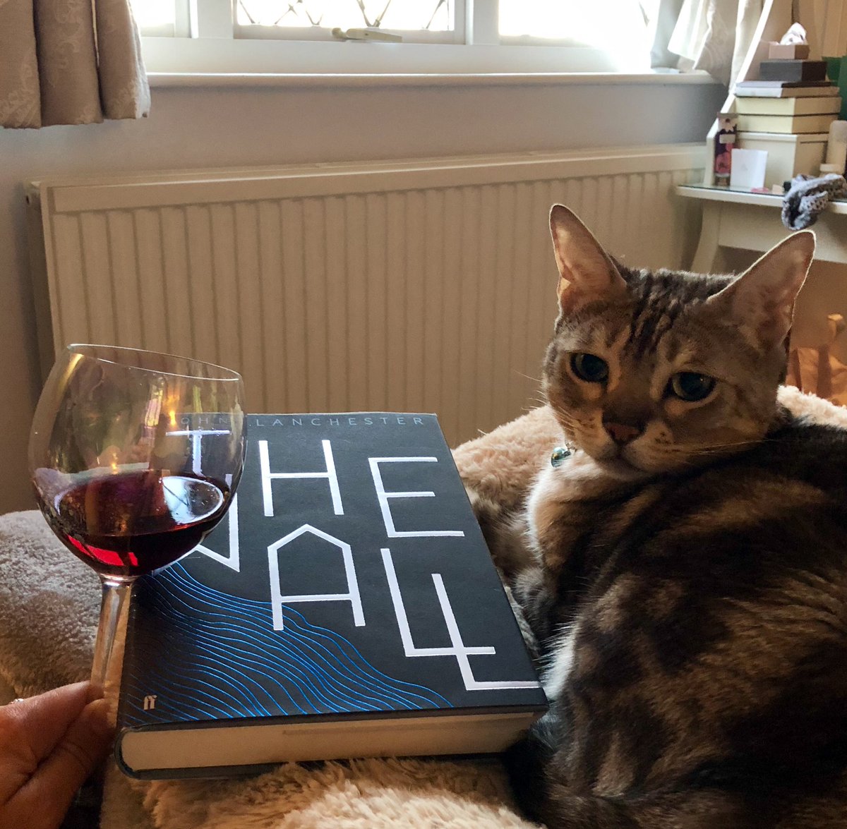 Knight_Abi's tweet photo. The only way to take the edge off a Monday... #getpetsreading #bookishbengal #bookclub ๐ท ๐ ๐ฑ https://t.co/YHXdMMucNC
