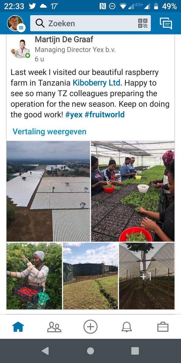 Exclusieve #raspberryfarm #tanzania #fruitworld curious? Ask our #salesteam info@fruitworld.nl 24/7