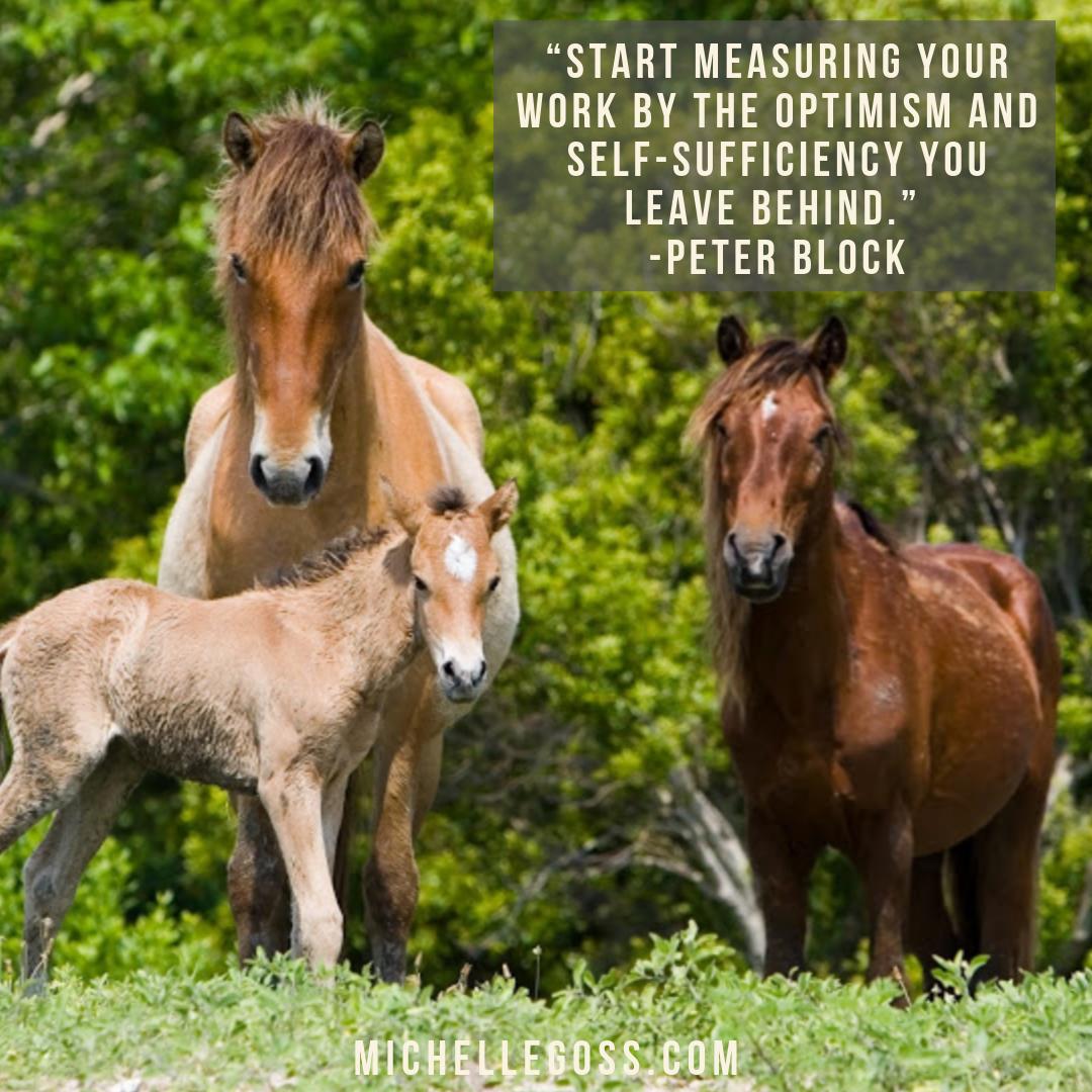 MichelleGoss's tweet photo. “Start measuring your work by the optimism and self-sufficiency you leave behind.” -Peter Block 
 photo by Lee Goss
#MondayMotivation #quoteoftheday #coaching #entrepreneur https://t.co/RMXtuFfnxa