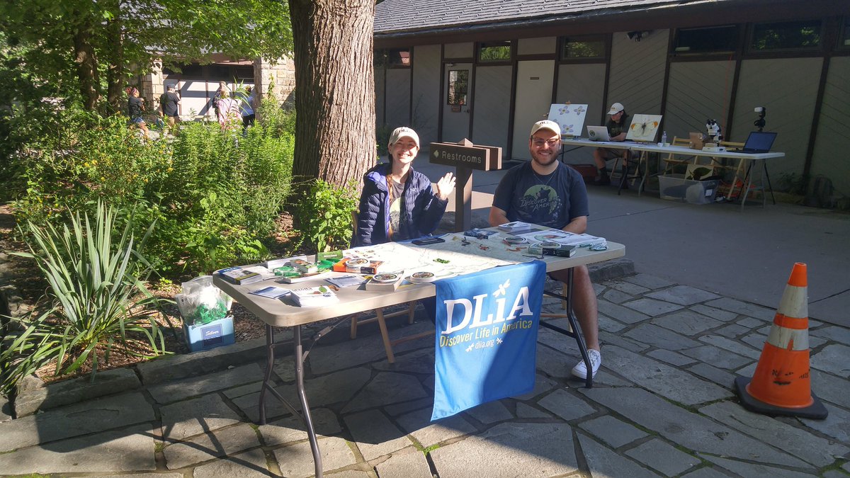 haleyogentry's tweet photo. Species day at GSM, the 20th Anniversary of All Taxa Biodiversity Inventory by Discover Life in America. #biodiversity #greatsmokymountainsnationalpark #discoverlifeinamerica #DLiA #findallthespecies #thiswassaturdayimbehind https://t.co/w22QY7cbOh
