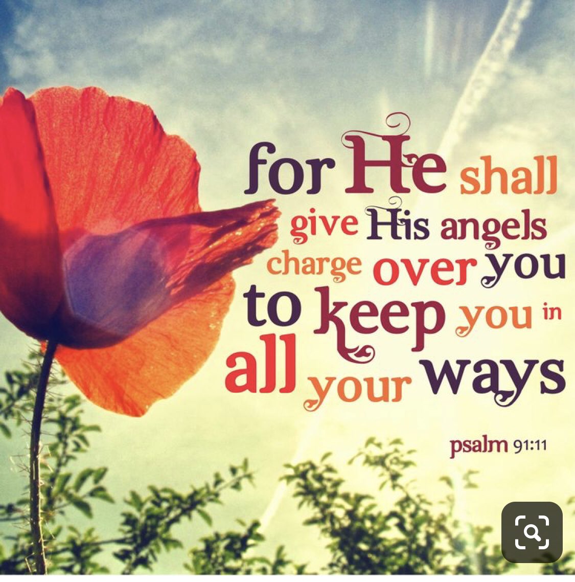 ASarahjoy's tweet photo. Psalm 91 will forever mean more to my church than ever! So thankful for the protection of Mrs. Susie & Gabe๐๐ป Also thankful my children saw Pastor Willโs sermon come to life! #psalm91 #mightyangels @TampaFreeWill https://t.co/zGuCEKLz4v