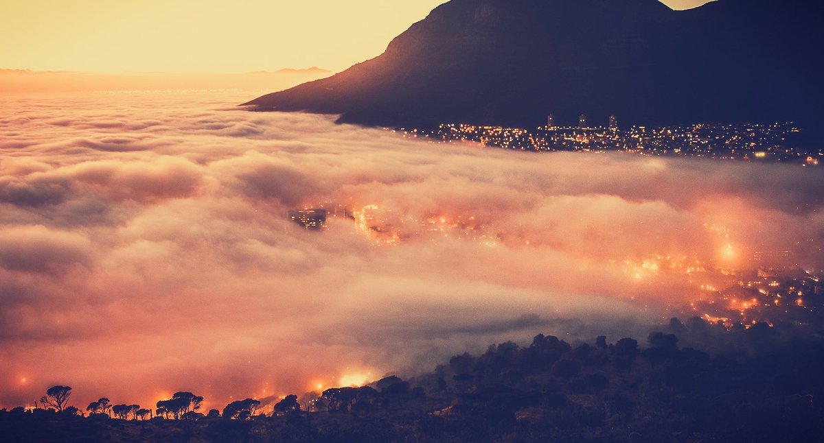 SFEnvironment's tweet photo. Delighted that San Francisco has been highlighted in @wccforum’s new Culture and Climate Change report – showing the crucial role culture can play in addressing climate change #LDNClimateAction #CreativeClimateCities
➡️ https://t.co/2lQc8cFnfv https://t.co/vtGxdQBmzI