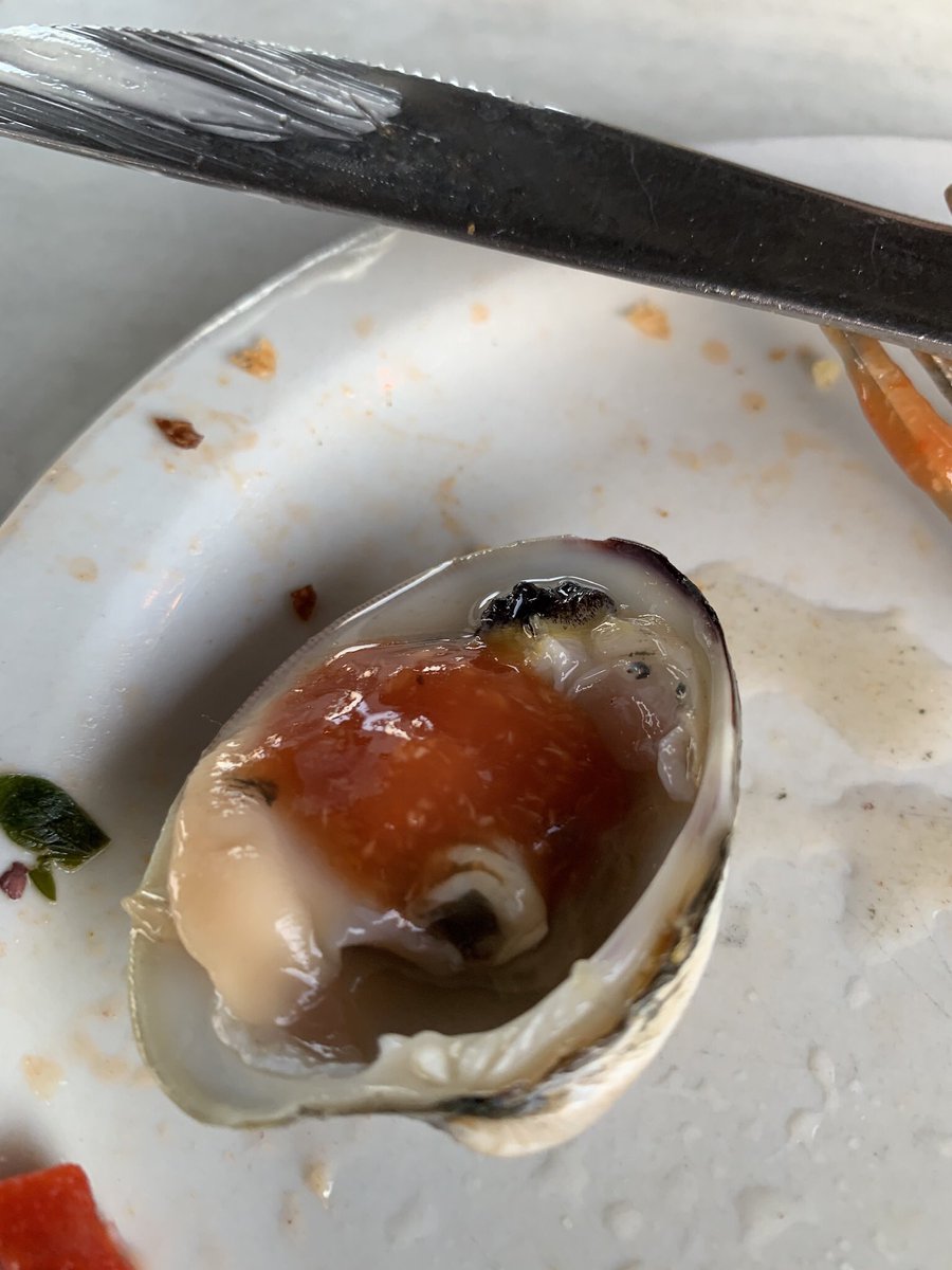 Lisa Ruggiero tweet media